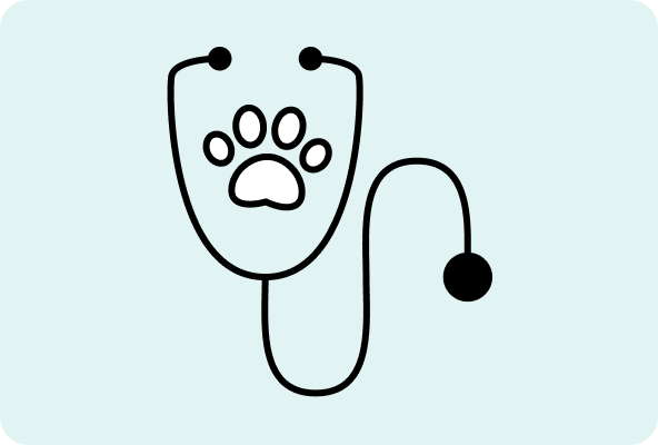 Stethoscope with paw